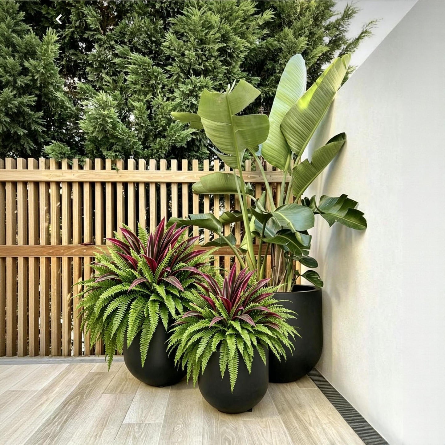 š„Summer Specialš„ UV-Resistant Artificial Fern & Red Dracaena Decorative Plants ā Full, Lush & Fade-Resistant!