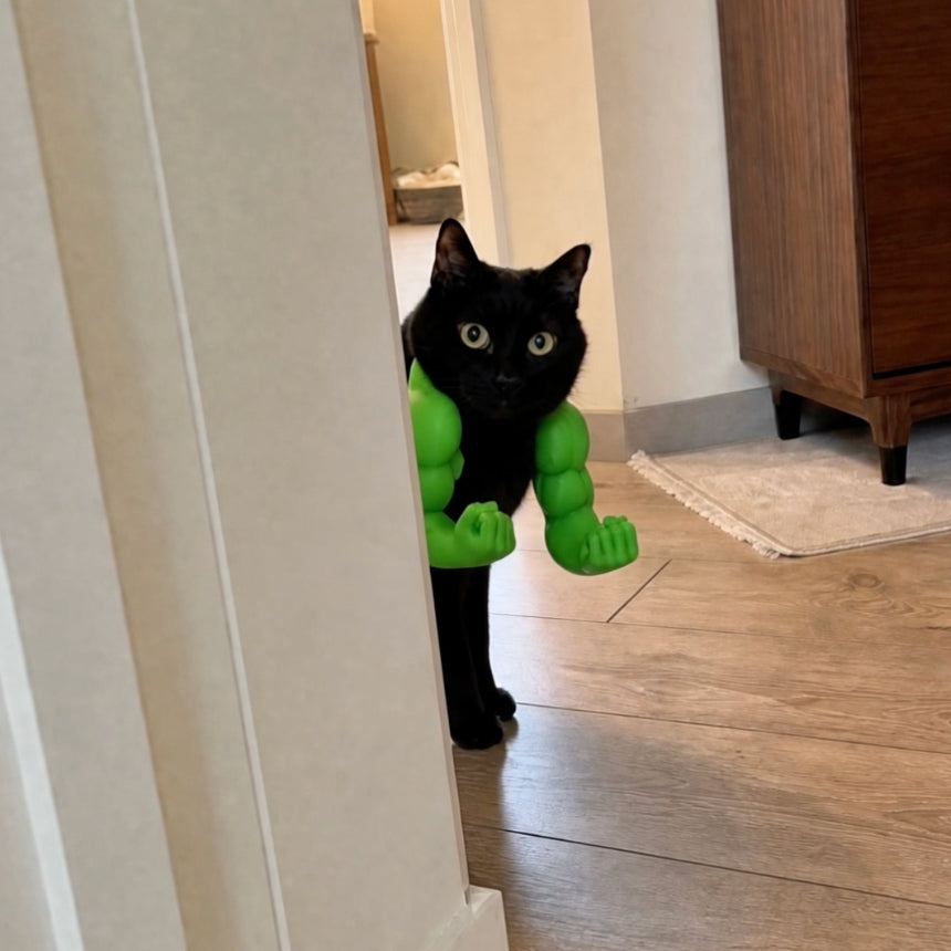 ๐น๐ช MEOWSCULAR ARMS ๐ช๐น