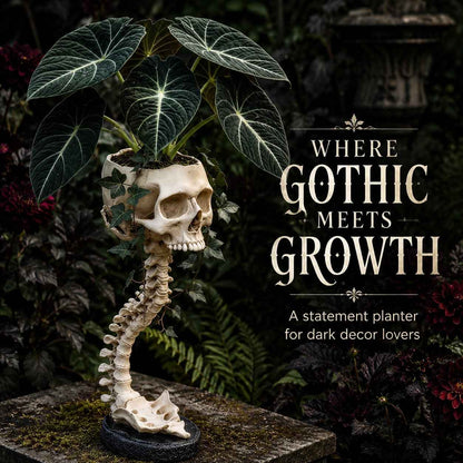 💀 Skull Planter - Bold Decor for Plant Lovers
