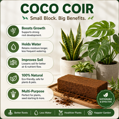 Stop Killing Your Plants With Bad Soil.