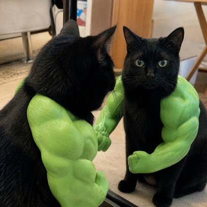 😹💪 MEOWSCULAR ARMS