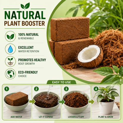 Stop Killing Your Plants With Bad Soil.