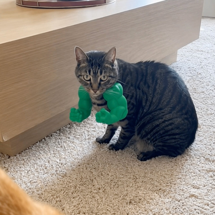 😹💪 MEOWSCULAR ARMS