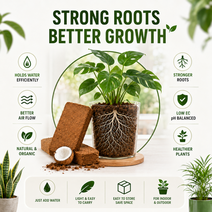 Stop Killing Your Plants With Bad Soil.