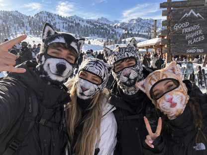 🔥Christmas Sale🎁Quirky Animal Face Mask for Sports, Skiing, and Cycling