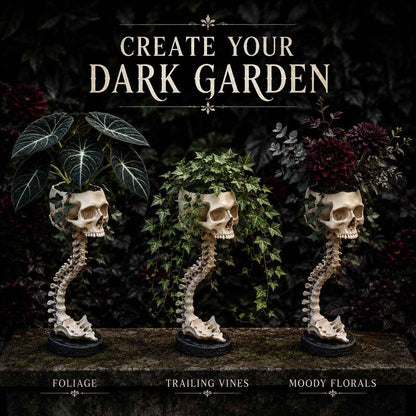 💀 Skull Planter - Bold Decor for Plant Lovers