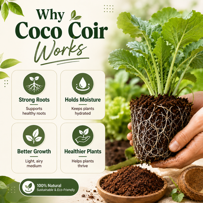Stop Killing Your Plants With Bad Soil.