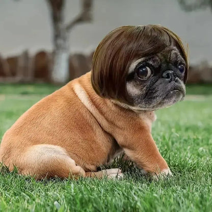 🎃HALLOWEEN SALE: SHORT HAIR WIG PET HEADBAND — FUNNY ACCESSORY FOR DOGS &amp; CATS!🎃