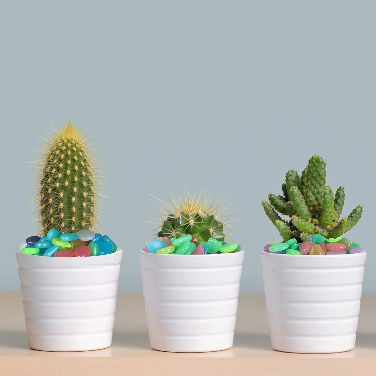 🌈Colorful Glow-in-the-Dark Garden Stones🌈