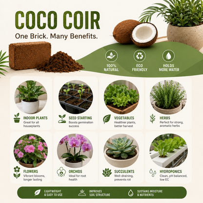 Stop Killing Your Plants With Bad Soil.