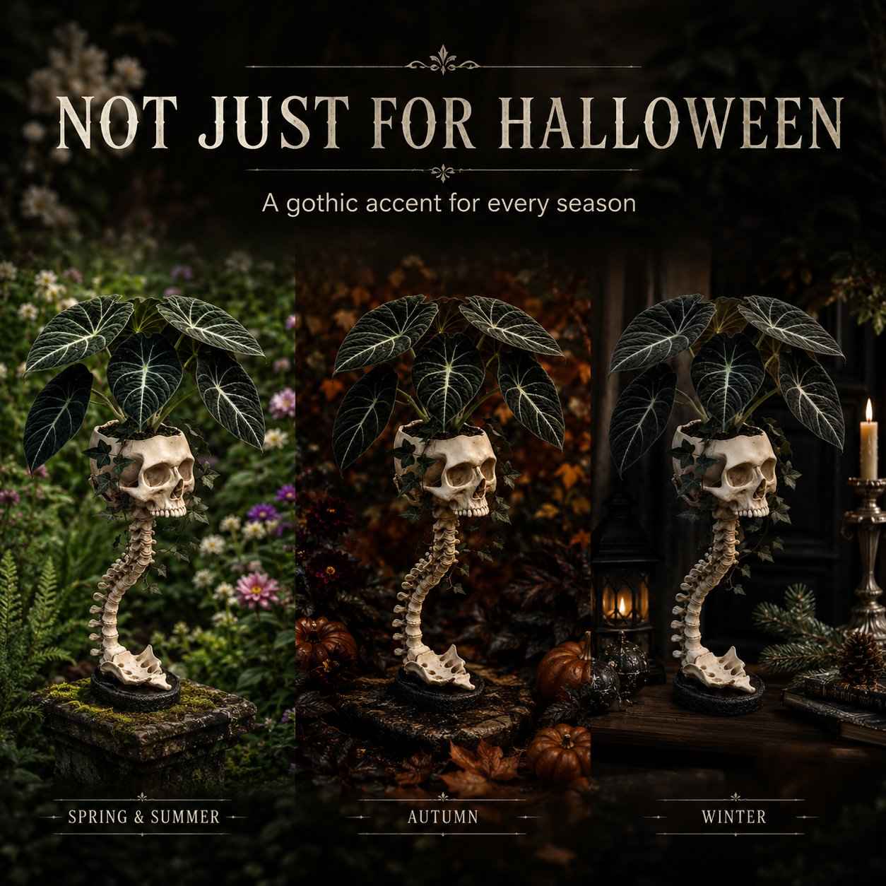 💀 Skull Planter - Bold Decor for Plant Lovers