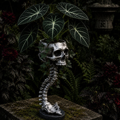 💀 Skull Planter - Bold Decor for Plant Lovers