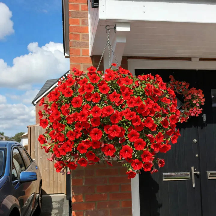 🔥Buy 2 Free Shipping🔥UV Resistant Artificial Petunias Flowers