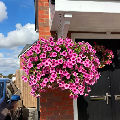 🔥Buy 2 Free Shipping🔥UV Resistant Artificial Petunias Flowers