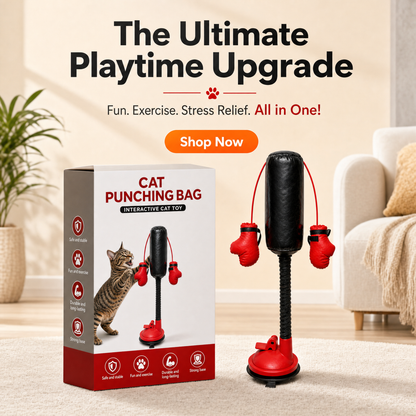 🔥Buy 2 Free Shipping - Mini Cat Punching Bag