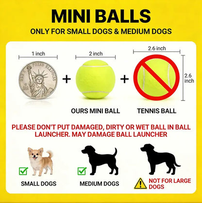 HOLIDAY PET ESSENTIAL SALE | Automatic Dog Ball Launcher Toy