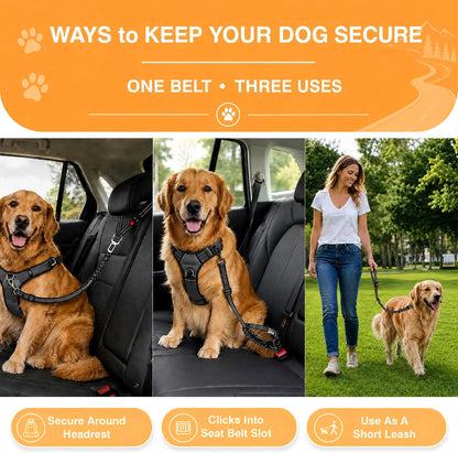 2-Pack Pet Car Seat Belt Dog Leash