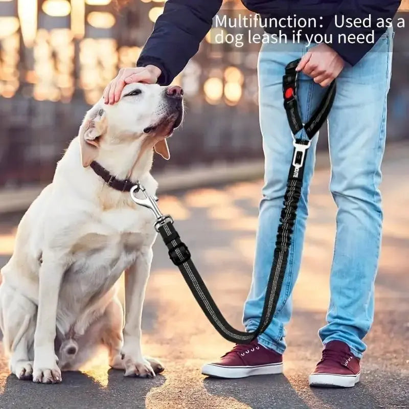 2-Pack Pet Car Seat Belt Dog Leash
