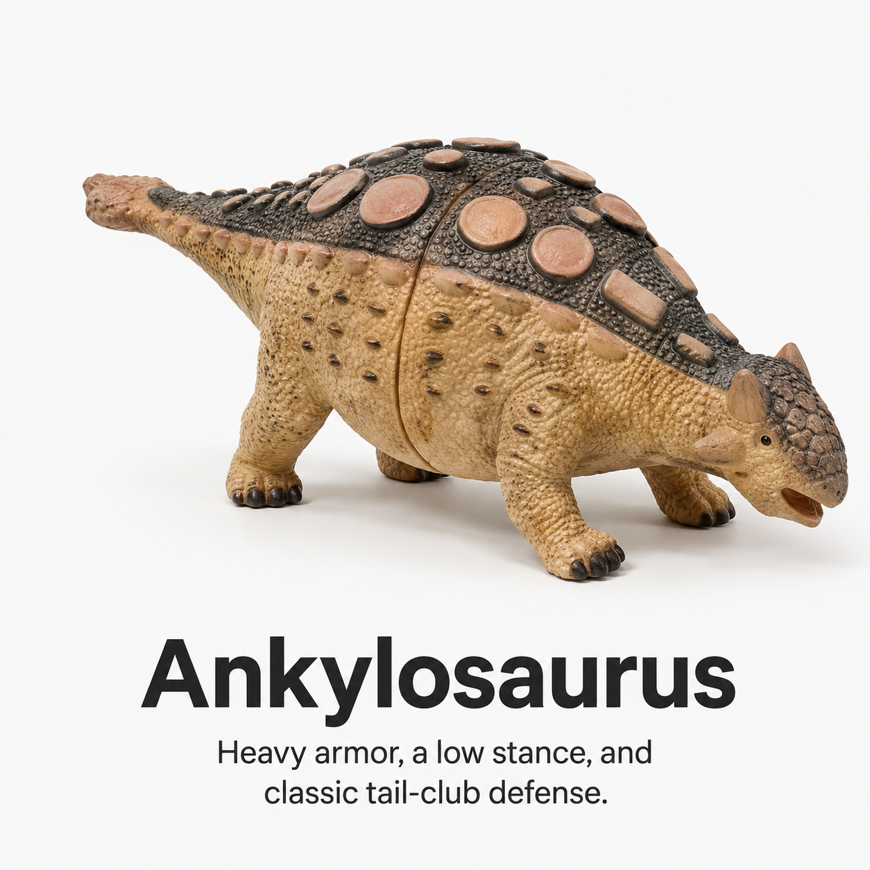 Ankylosaurus