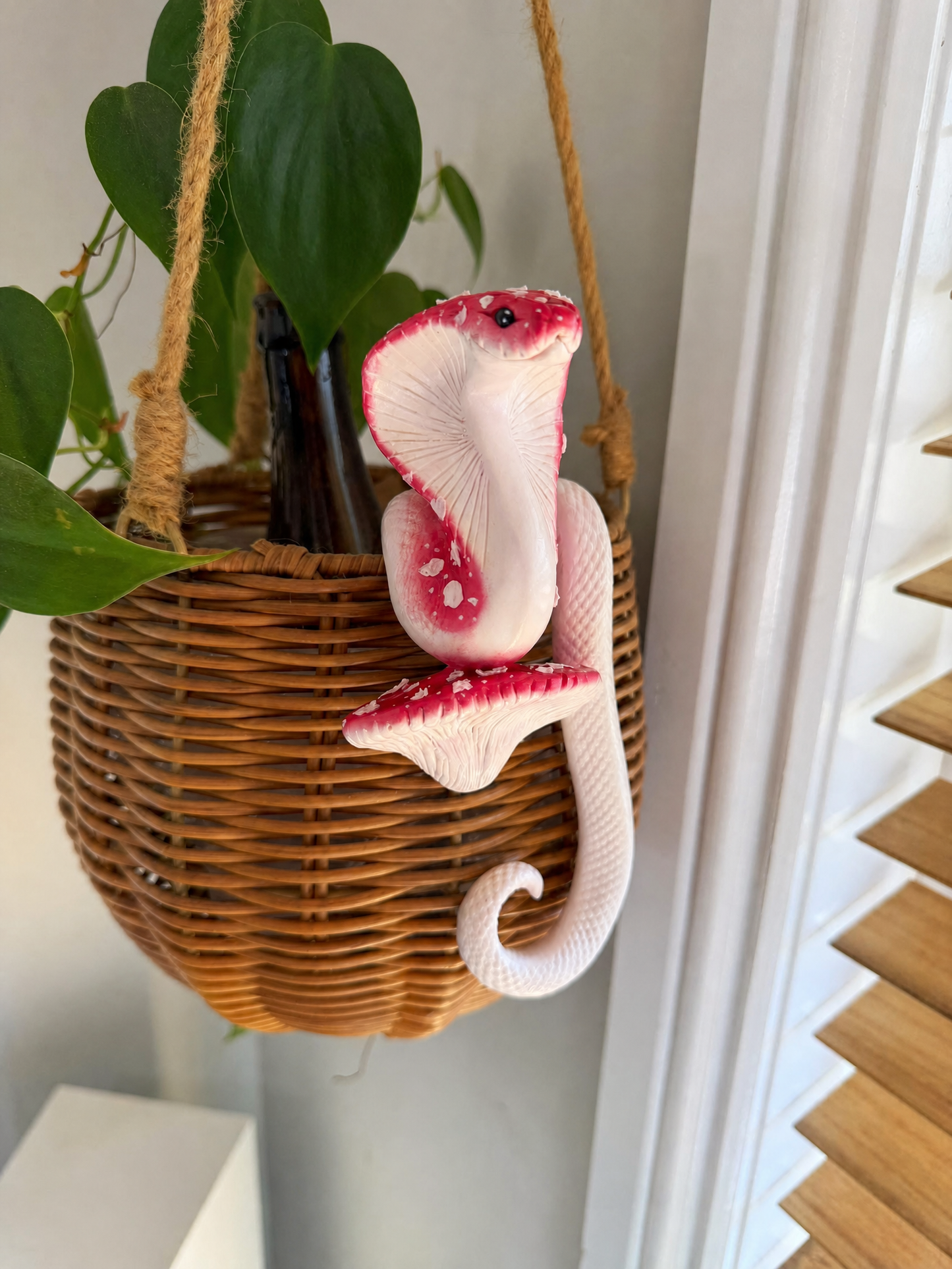Mushroom Cobra  Potted Plant Hanger