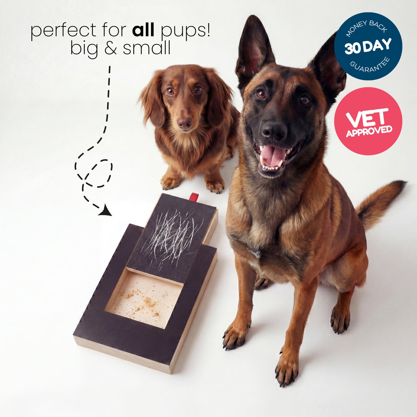 🐾 HOLIDAY PET ACCESSORY SALE | Pet Nail Grinding Scratch Board