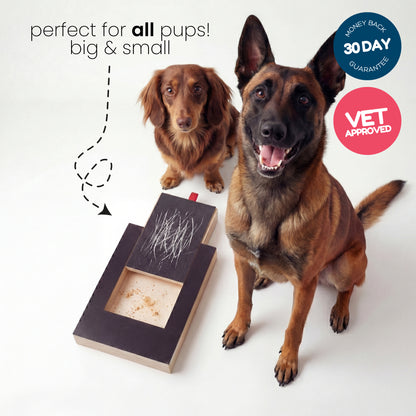 🐾 HOLIDAY PET ACCESSORY SALE | Pet Nail Grinding Scratch Board