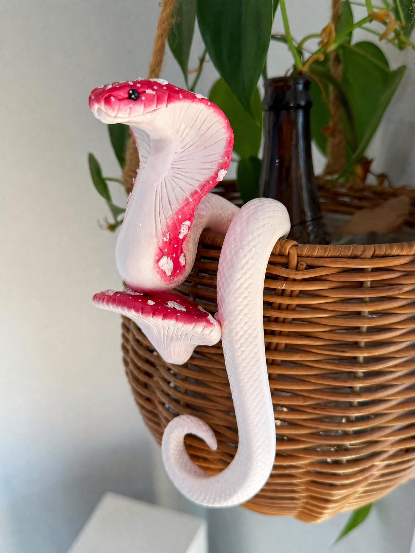 Mushroom Cobra  Potted Plant Hanger