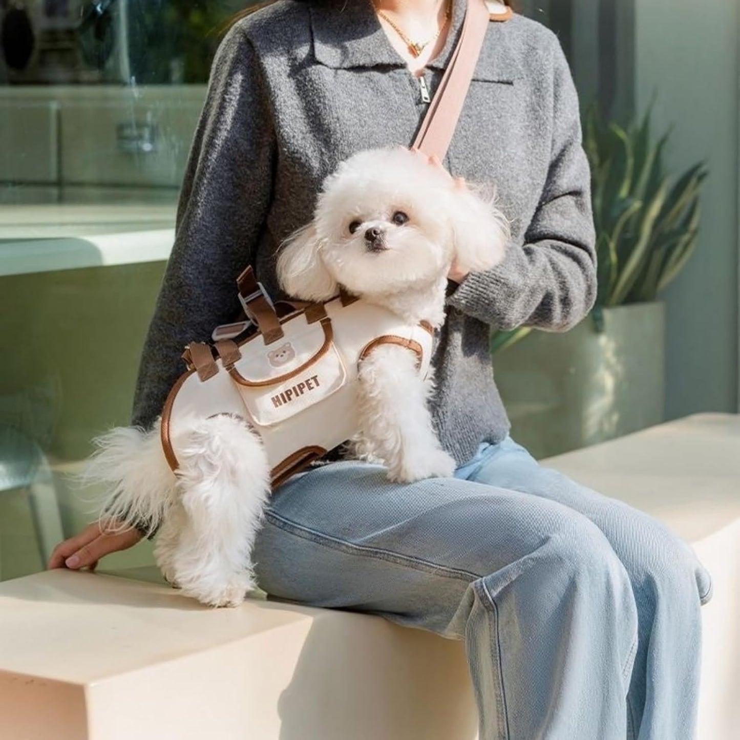 🐶Dog Carrier Bag - Crossbody Shoulder Handheld Carrier