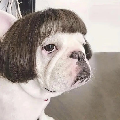 🎃HALLOWEEN SALE: SHORT HAIR WIG PET HEADBAND — FUNNY ACCESSORY FOR DOGS &amp; CATS!🎃