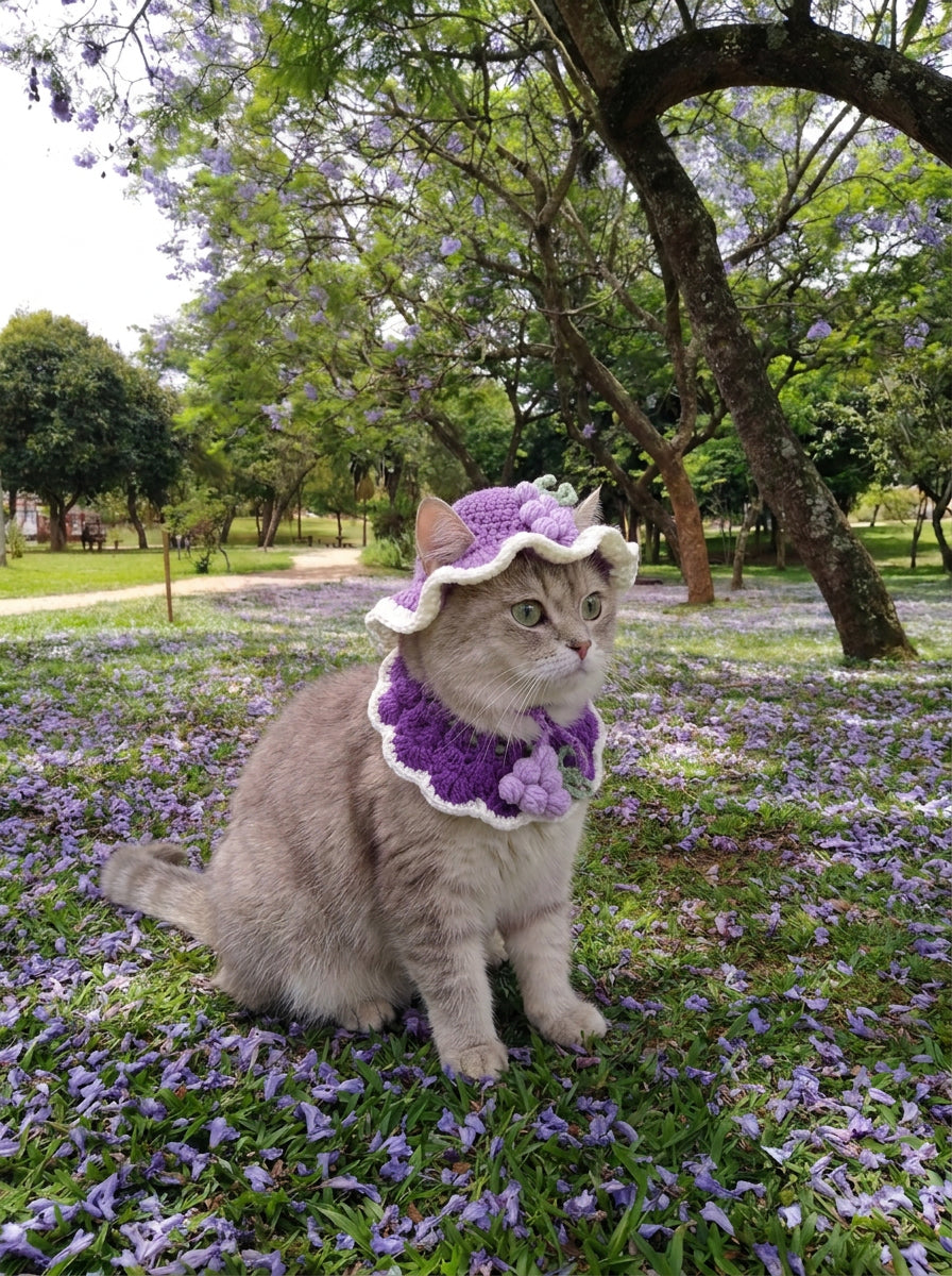 🐈Premium Crochet Pet Hat & Collar Set|Handmade with Love by Mary