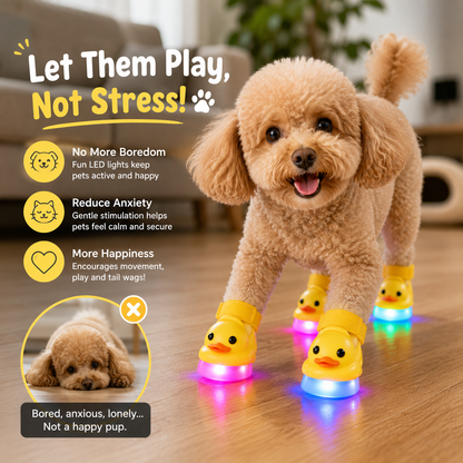 🐥 DuckGlow™ LED Pet Shoes – Make Every Step Fun & Adorable😻