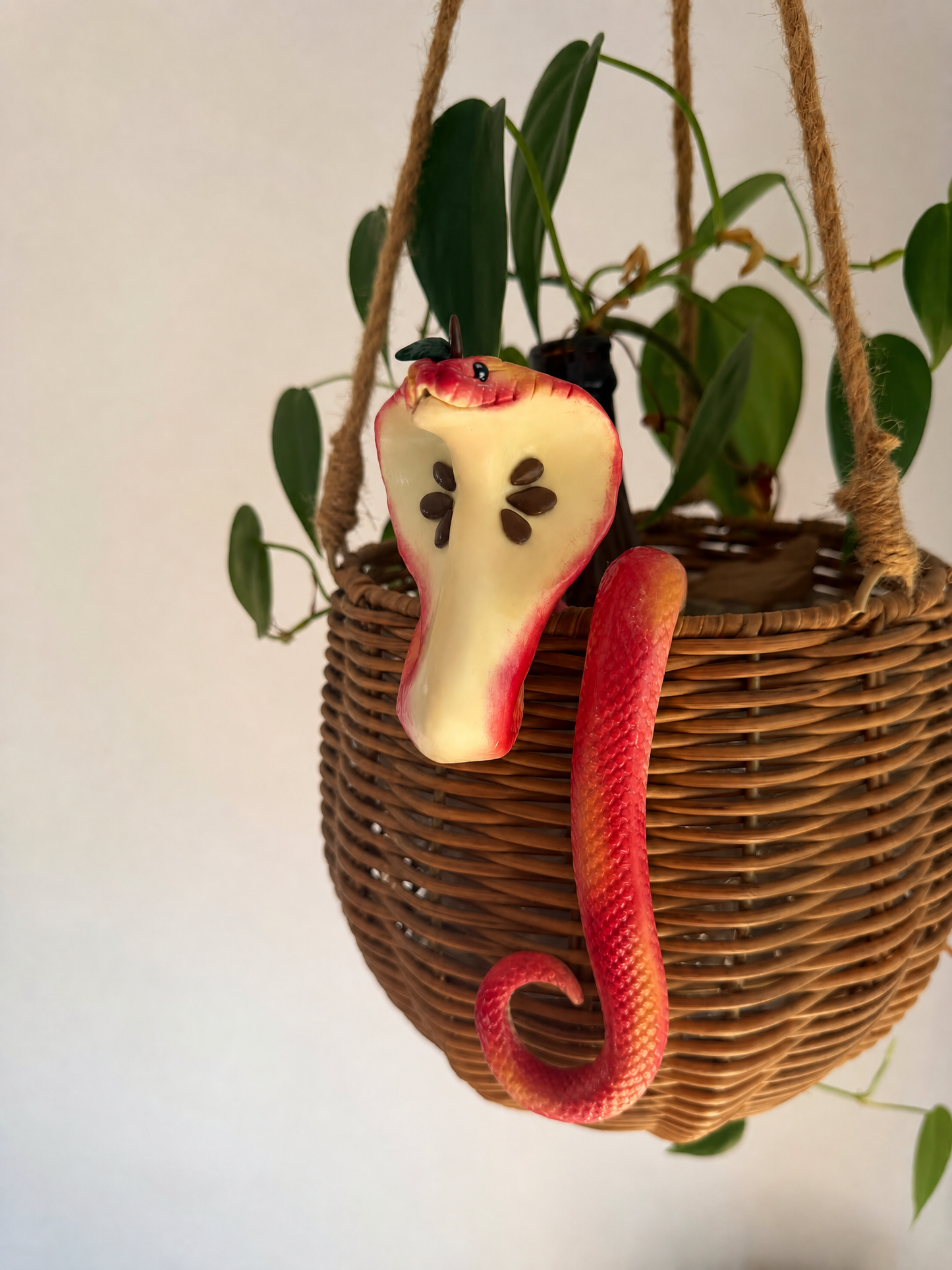 Mushroom Cobra  Potted Plant Hanger