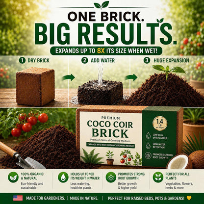 Stop Killing Your Plants With Bad Soil.