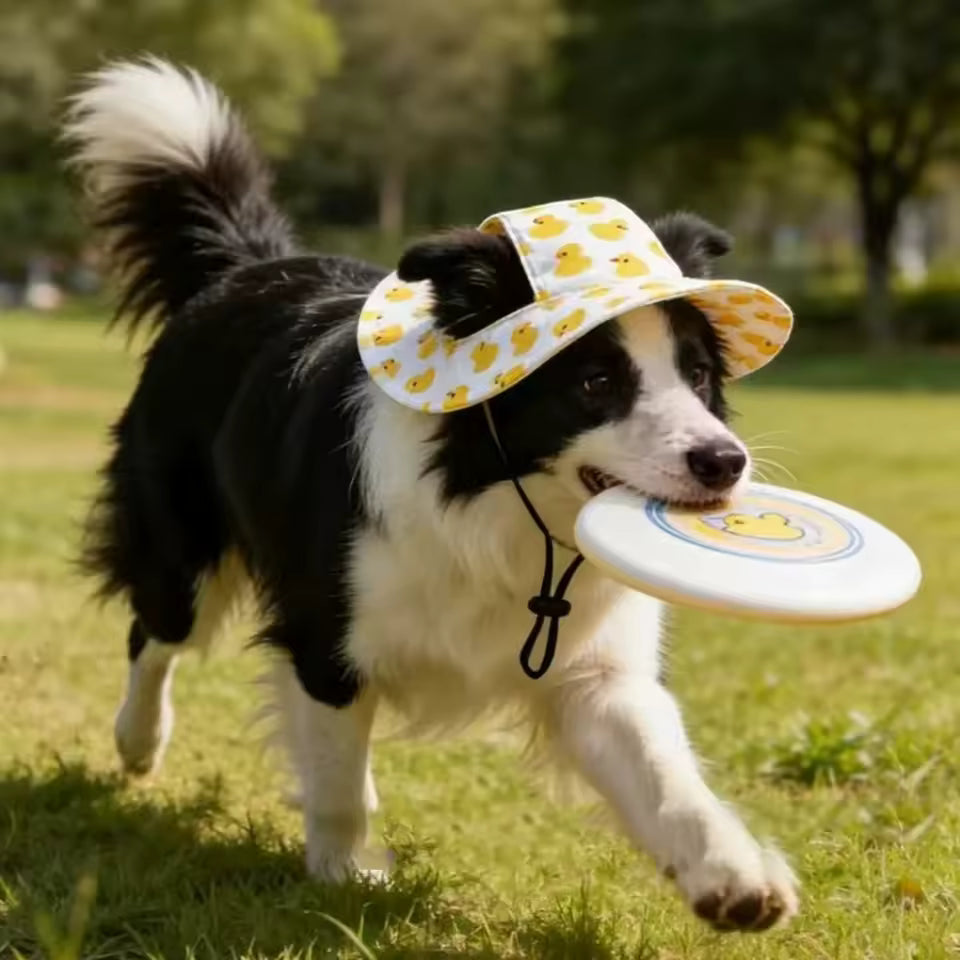 🐶Small Breed Dog Hat