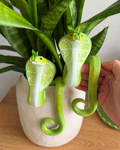 Mushroom Cobra  Potted Plant Hanger
