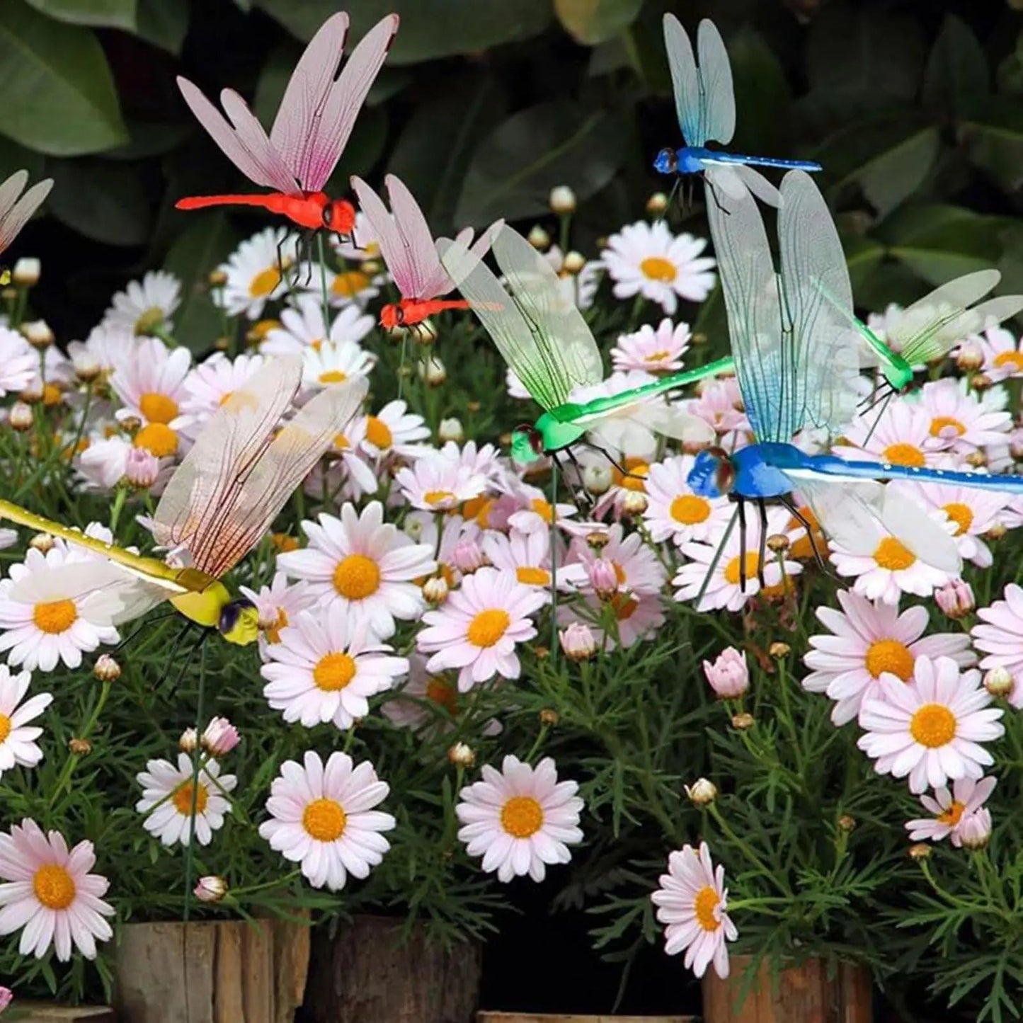 Dragonfly Clips 12-Pack