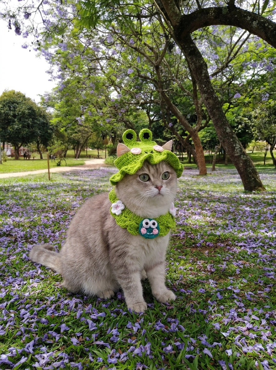 🐈Premium Crochet Pet Hat & Collar Set|Handmade with Love by Mary