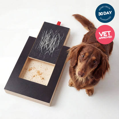 🐾 HOLIDAY PET ACCESSORY SALE | Pet Nail Grinding Scratch Board