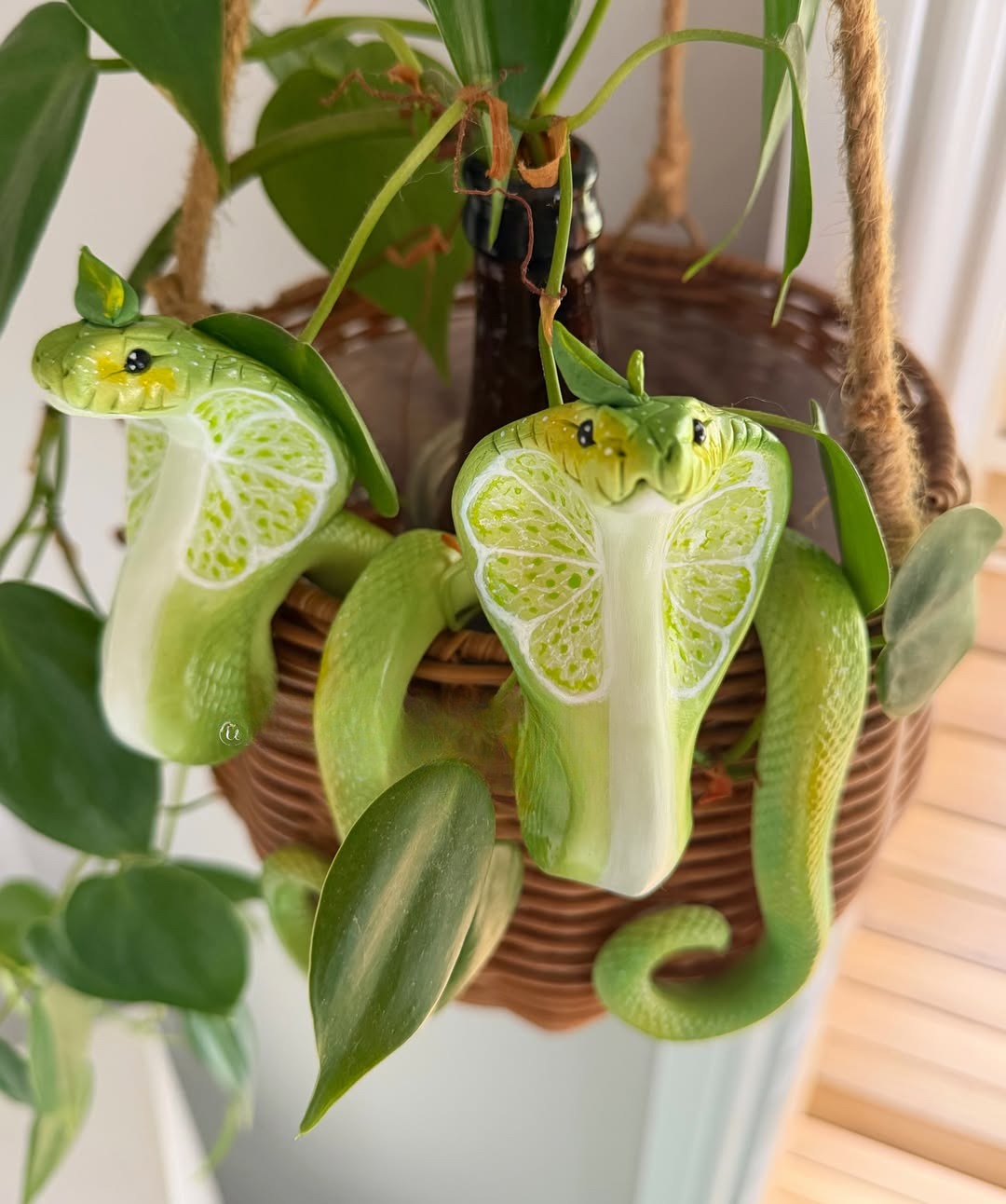 Mushroom Cobra  Potted Plant Hanger