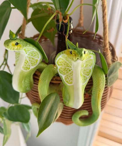 Mushroom Cobra  Potted Plant Hanger