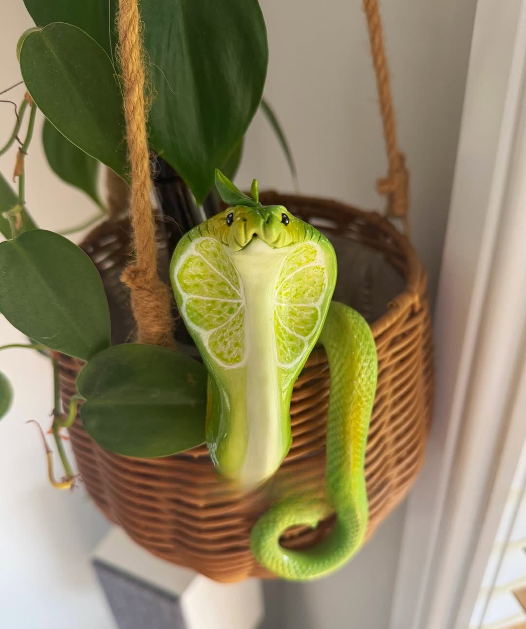 Mushroom Cobra  Potted Plant Hanger