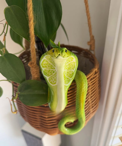 Mushroom Cobra  Potted Plant Hanger