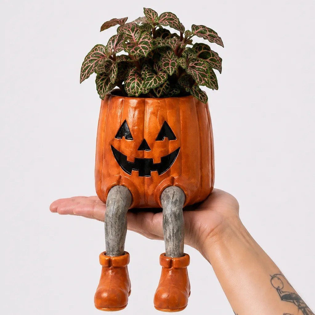 🎃Pumpkin