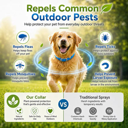 🐾Natural Essential Oil Pet Pest Repellent Collar