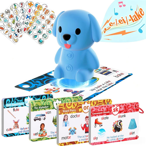 Phonics Flash Cards with Talking Pen, Interactive Learn-to-Read Games for Kids Ages 4-8, 21 Stages