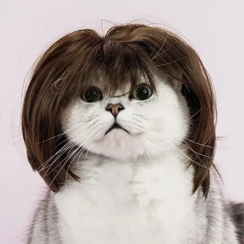 🎃HALLOWEEN SALE: SHORT HAIR WIG PET HEADBAND — FUNNY ACCESSORY FOR DOGS &amp; CATS!🎃