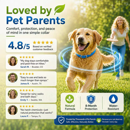 🐾Natural Essential Oil Pet Pest Repellent Collar