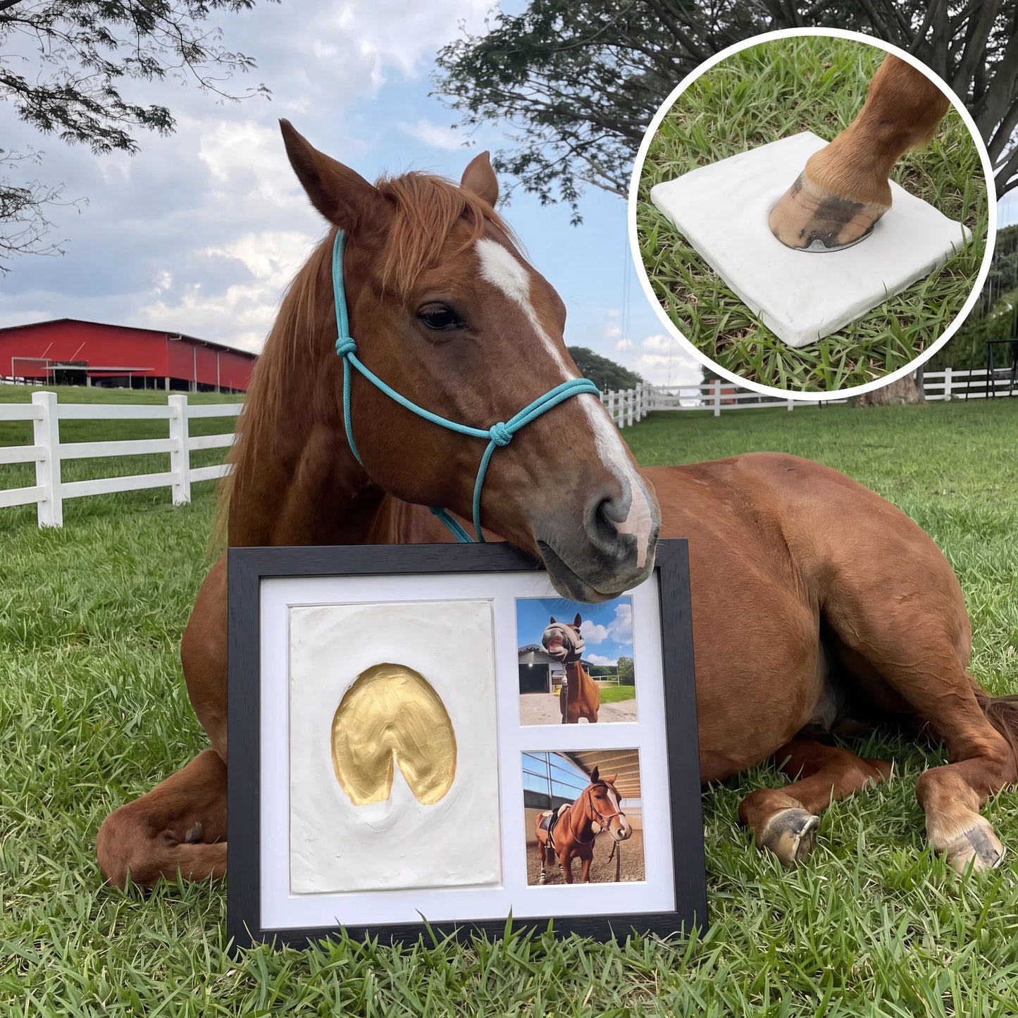 🐾VALORS™ Little Paw Themed Picture Clay Kit | Paw and Photo