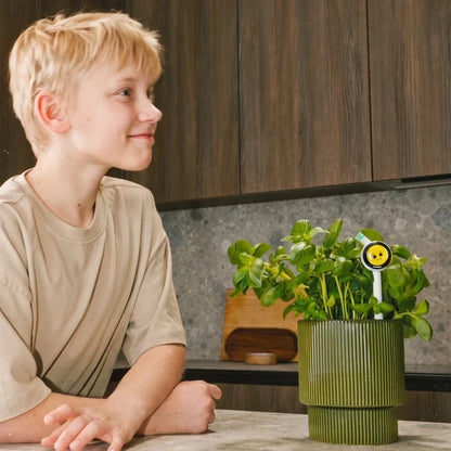 Plantiemoji Plant Magic Wand – Smart 4-in-1 AI Plant Care Sensor with Emoji Display