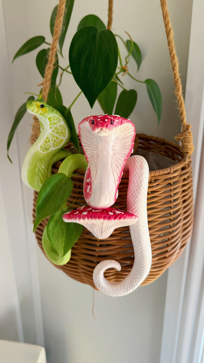 Mushroom Cobra  Potted Plant Hanger
